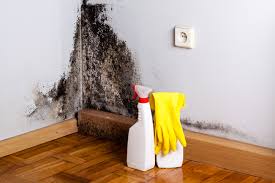 Best Mold Remediation for Healthcare Facilities  in Ragland, AL